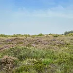 Ostmarken Denm 度假居 Toftlund